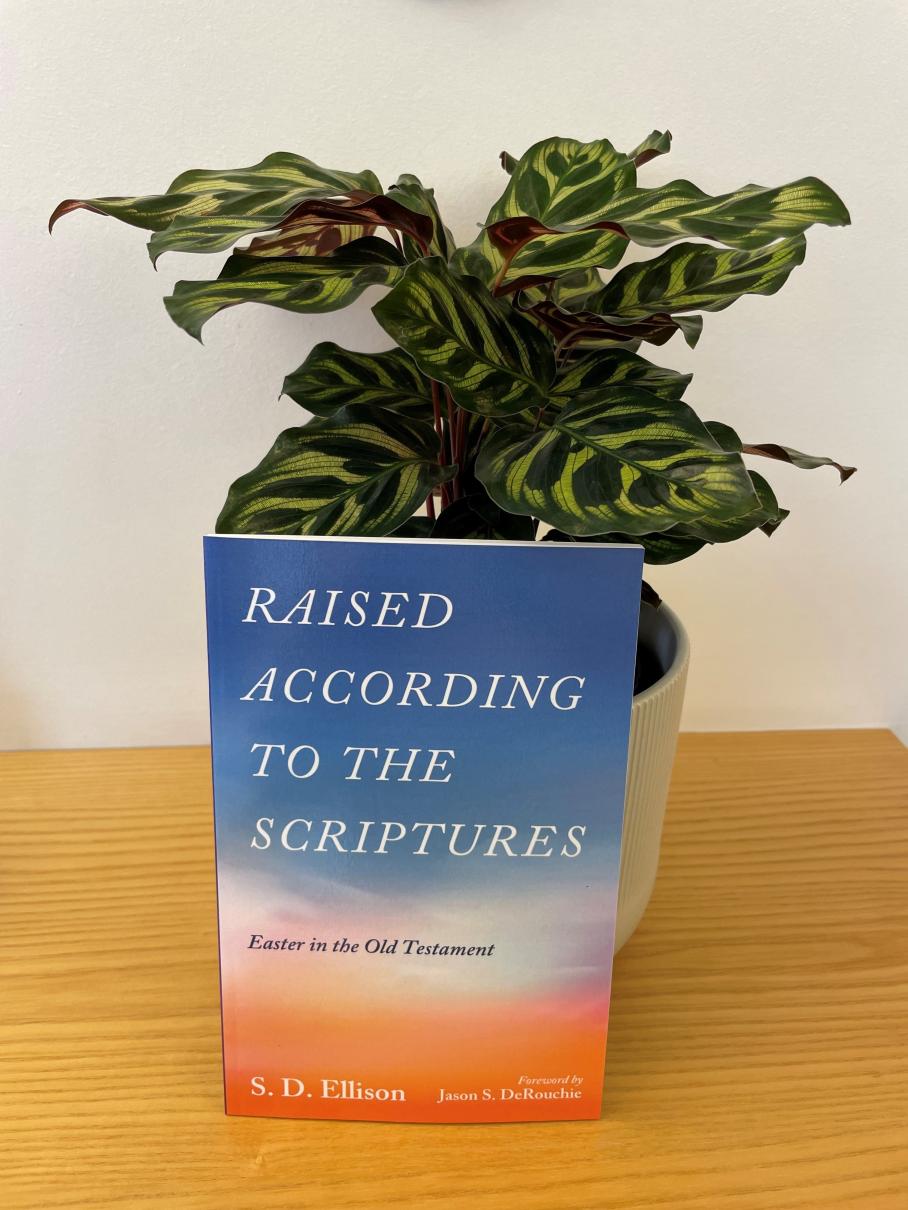 Image: raised-according-to-the-scriptures-book-review