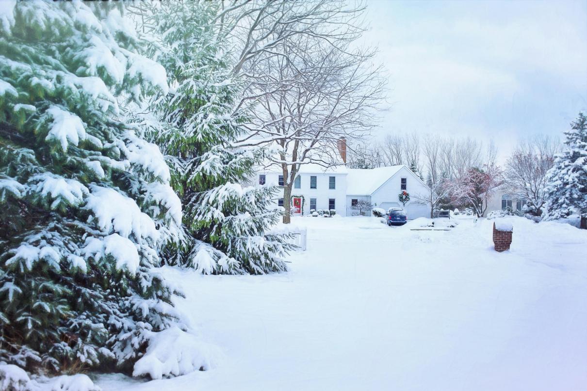 Image: christmas-2024